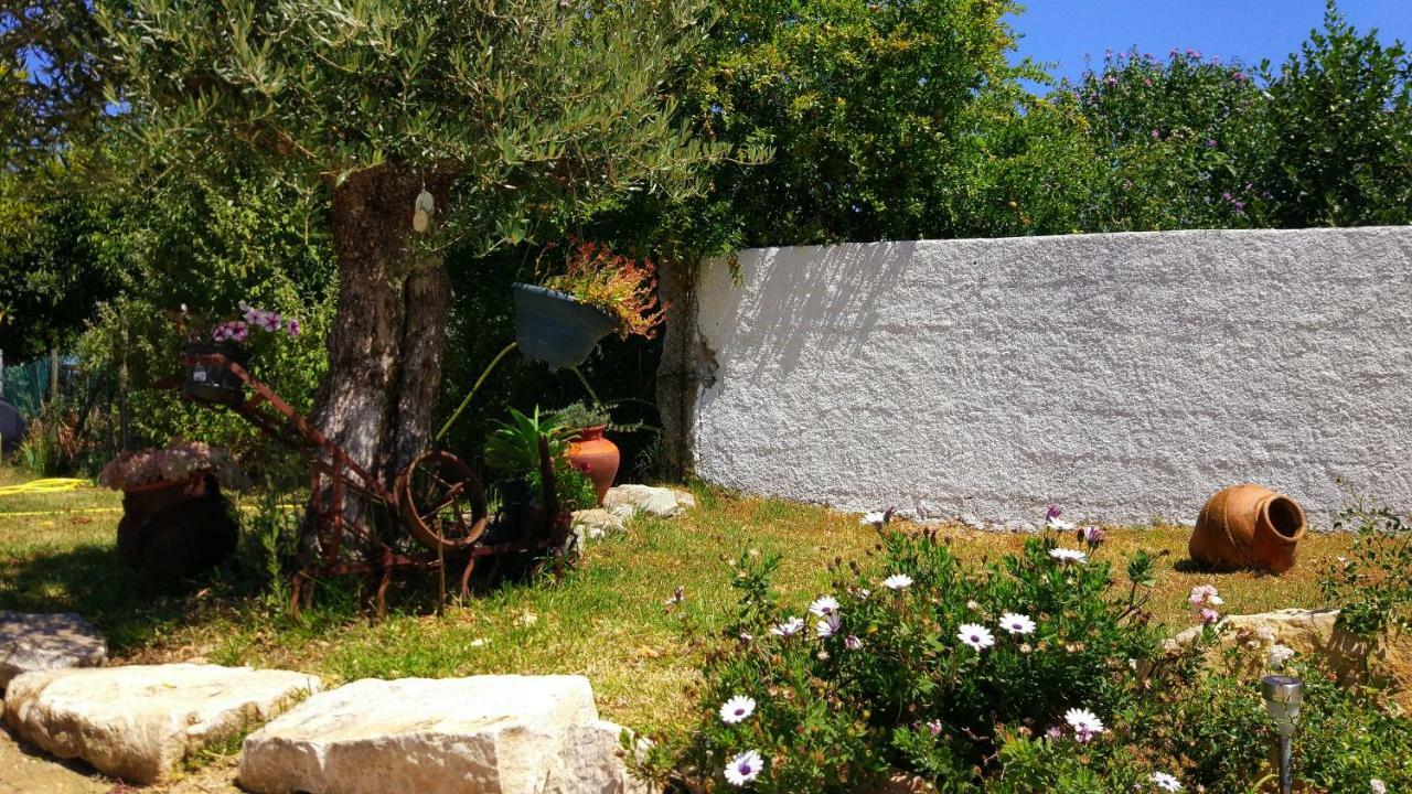 Louro'S Villa - 12130Al Cantanhede Εξωτερικό φωτογραφία