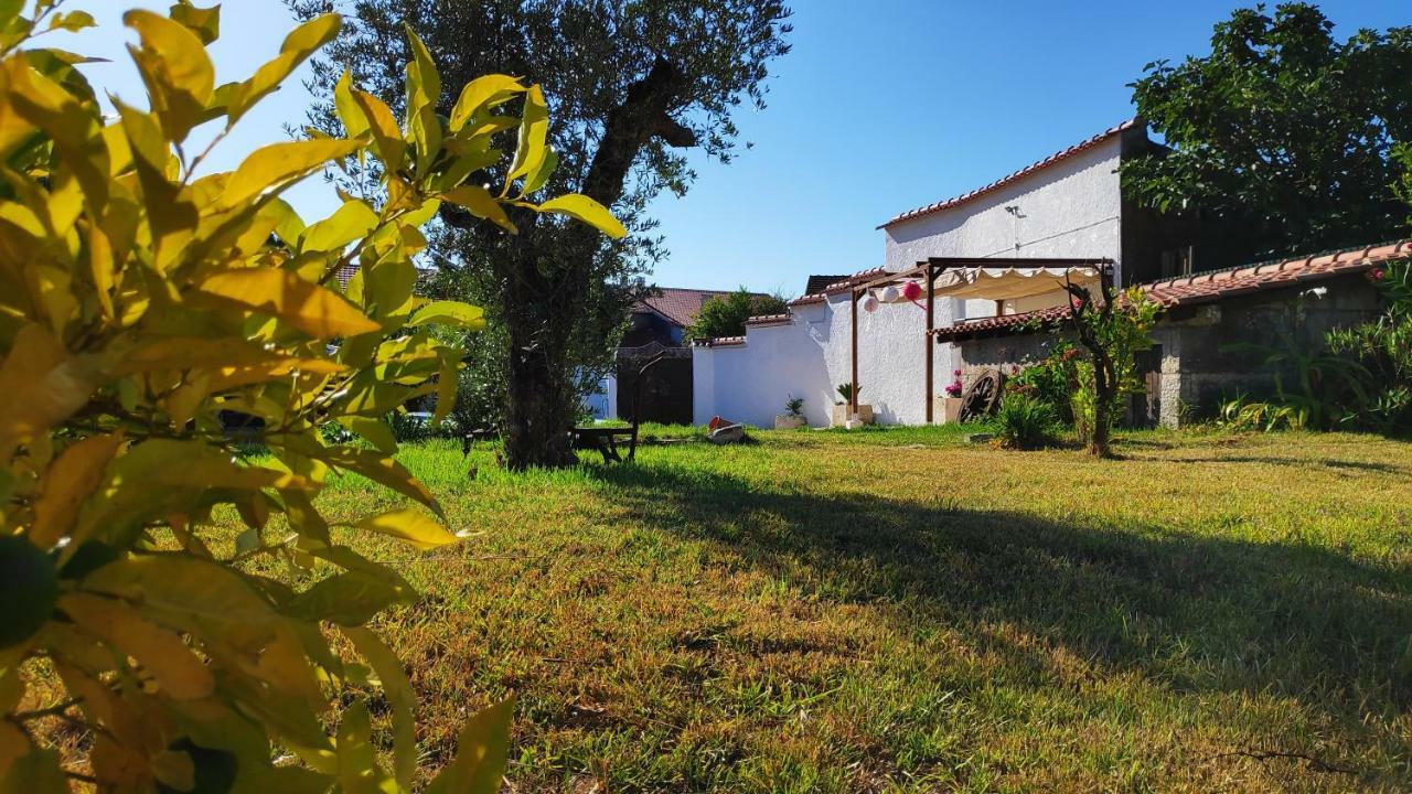Louro'S Villa - 12130Al Cantanhede Εξωτερικό φωτογραφία